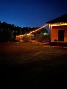 Бубон - 36