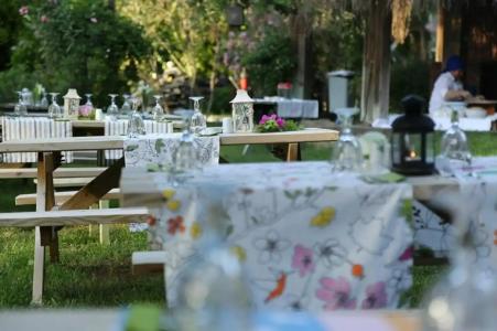 Golden Key Bordubet - 46