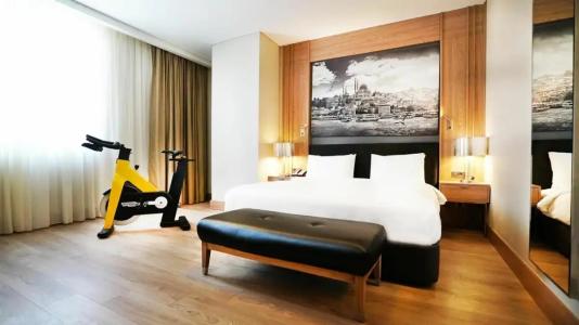 Tryp By Wyndham Istanbul Basın Ekspres - 36