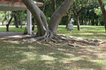 Vgp Golden Beach Resort - 60