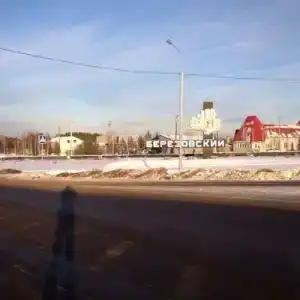 Березовский - 25