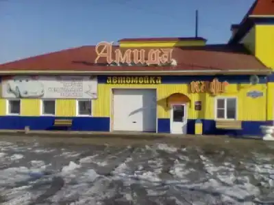 Амида - 11