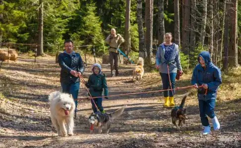 Пасторское озеро - 38