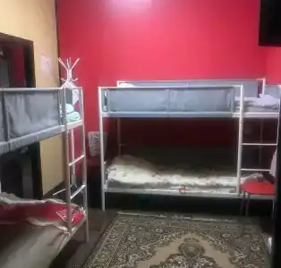 Кингфишер - 17