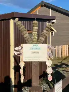 Териберка Тур - 90