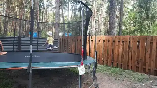 Сосновый бор - 13