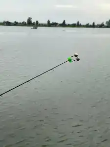 Ихтиолог - 54