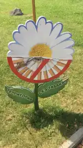 Полушкино - 48