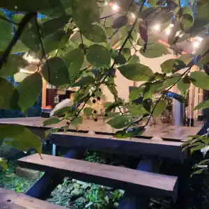 Удачное Кемп - 42