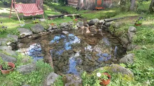 Аршанский Бор - 21