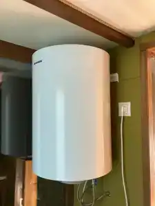 Смородина - 65