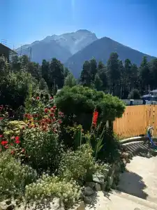 Snow Peaks - 0