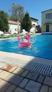 Золотой Фазан - 27