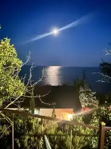 Багира - 9