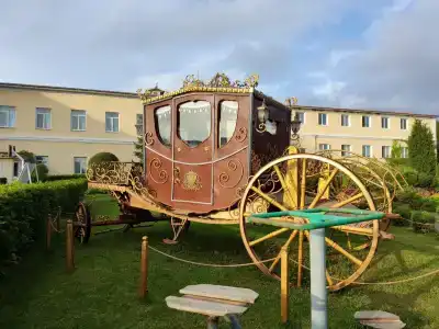 Белый лебедь - 4