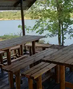 ГринЛандия - 17