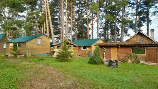 Друг - 43