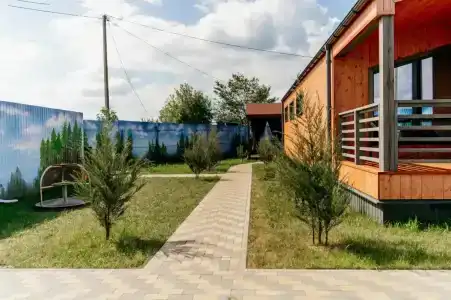 Хвоя - 1