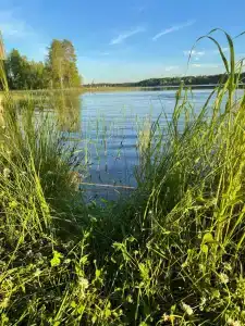 Дом у заповедника - 13