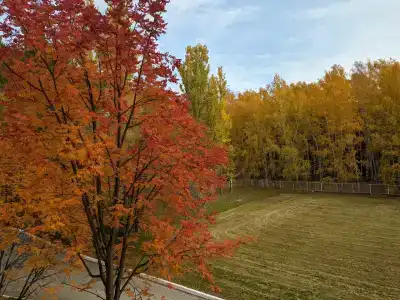 Золотой берег - 43