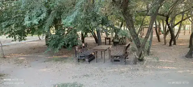 Сказочный лес - 57