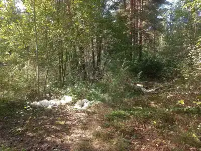 Улыбышево - 84