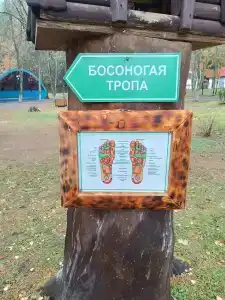 Янтарь - 29