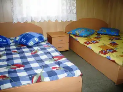 Гринта - 19