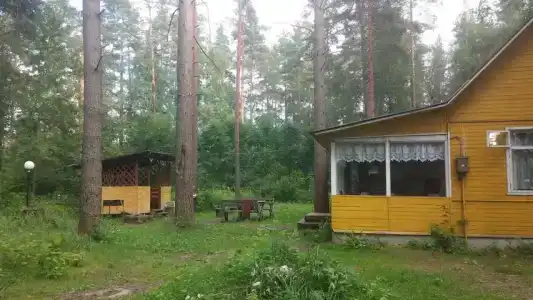 Холодный ручей - 8