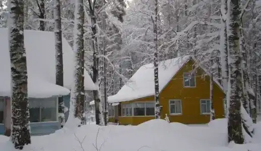 Холодный ручей - 1