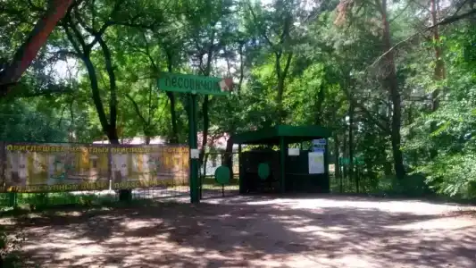 Лесовичок - 8