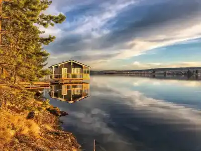 Зайкина дача - 1