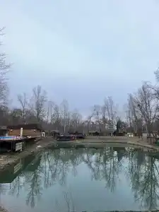 Комарово клуб - 98
