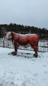 Микли-Ольгино - 67