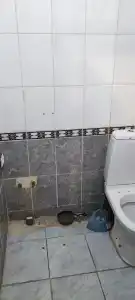 Лео - 2