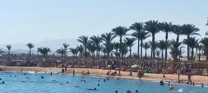 Beach Albatros - - 79