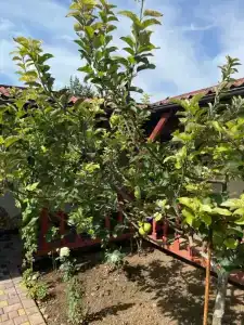 Ess House - 3