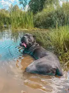 Емельяново - 36