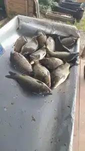 Рыбалка на Юдинках - 29