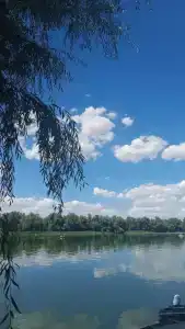 Железобетон - 19