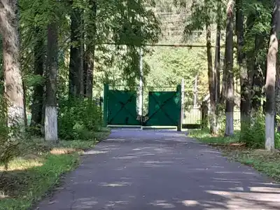 Городец - 6