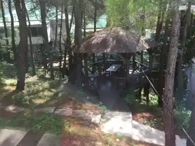 Карс - 15