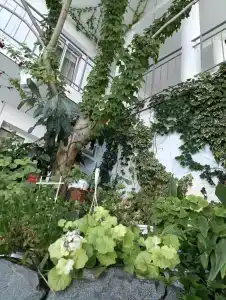 Санта Барбара корпус 2 - 38