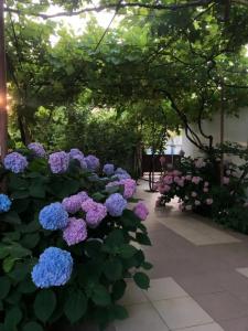 Летний сад - 3