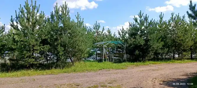 Лукоморье - 46