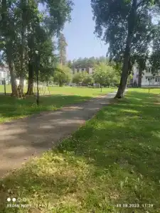 Каменный цветок - 15