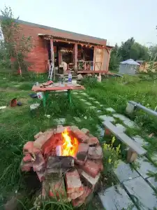 Смородина - 12