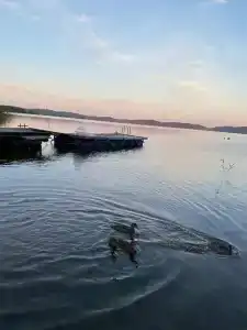 Хуторок у Сан Саныча - 98