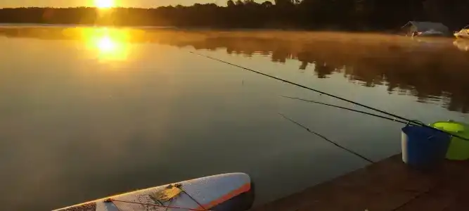 ГринЛандия - 79