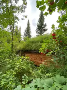Хутор Кедровый на Зеленом острове - 49